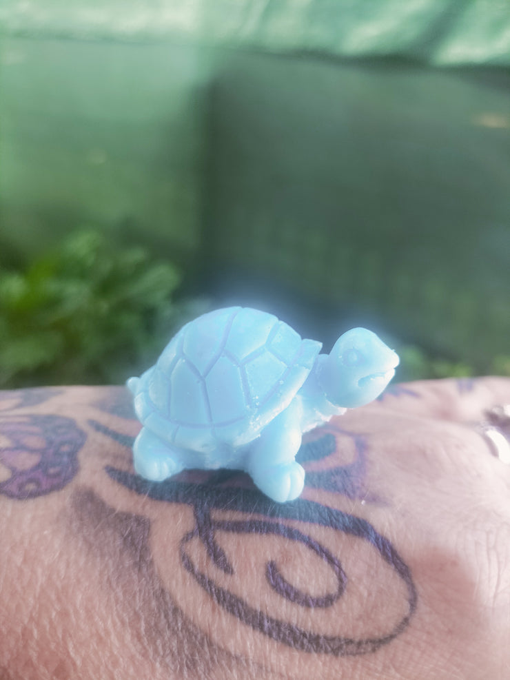 Lil Wax melt Turtle 🐢