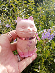 Lil Kitty - medium size